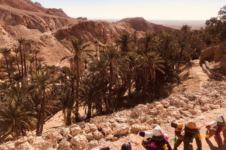 Private 2-Day Tour and Overnight in the Desert from Hammamet/Sousse