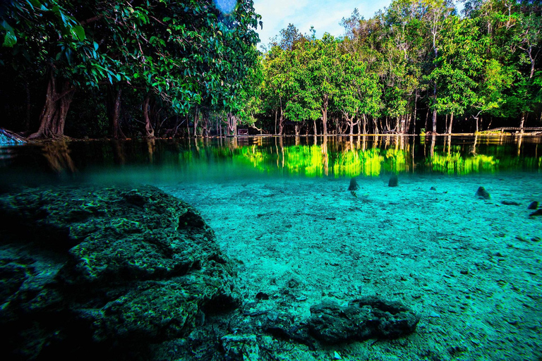 Krabi: viagem de meio dia à piscina esmeralda e cachoeira de fontes termais