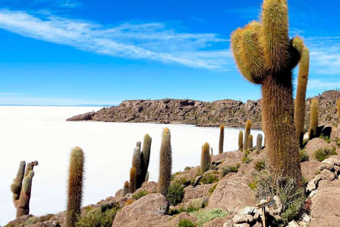 Från Sucre: Uyuni salt flat tour 2 dagar 1 natt