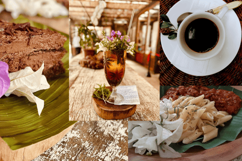 Stan Rio de Janeiro: Bilet wstępu do ogrodów kulturalnych Uaná Etê