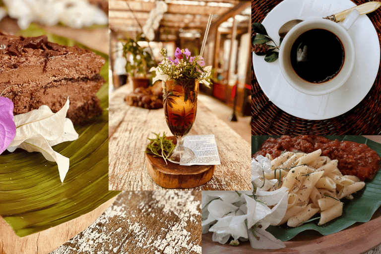 Stan Rio de Janeiro: Bilet wstępu do ogrodów kulturalnych Uaná Etê