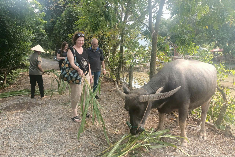Hanoi: 2-dagars tur till Ninh Binh med boende i privathem och buss till Phong Nha
