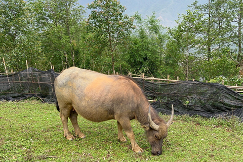 2-Day Sapa City Tour & Discover Fansipan Mountain From Hanoi