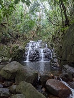 Jungle Adventure Hike, escalada, cascada, descubre Seychelles! - Housity