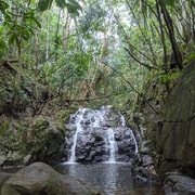 Caminhada de Aventura na Selva: Escalada, Cachoeira, Descubra Seychelles!