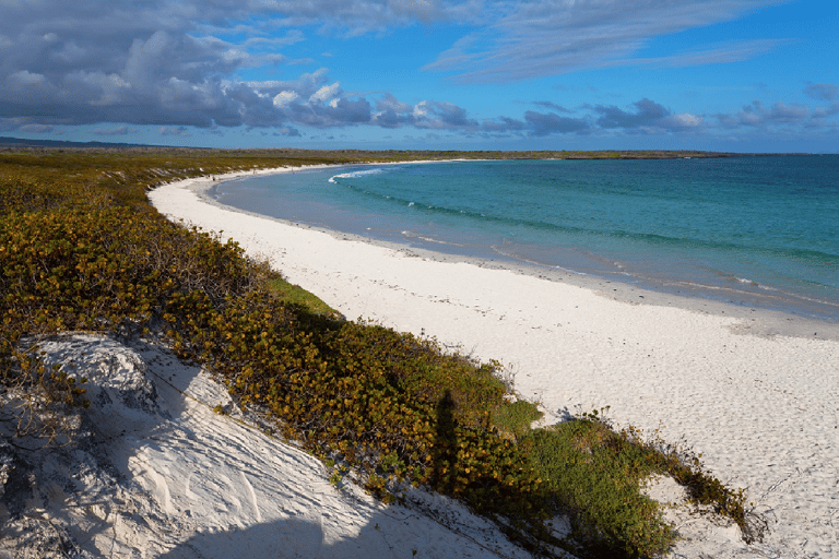 Santa Cruz: Tortuga Bay Guided Tour