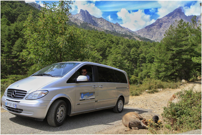 Corse : excursion d&#039;une journée à Piana en minibus depuis BastiaCorse : Excursion à Piana en minibus depuis Bastia