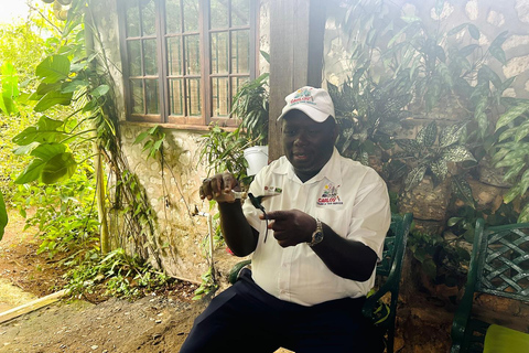 Tour privado del Santuario de Aves de RocklandDesde Montego Bay