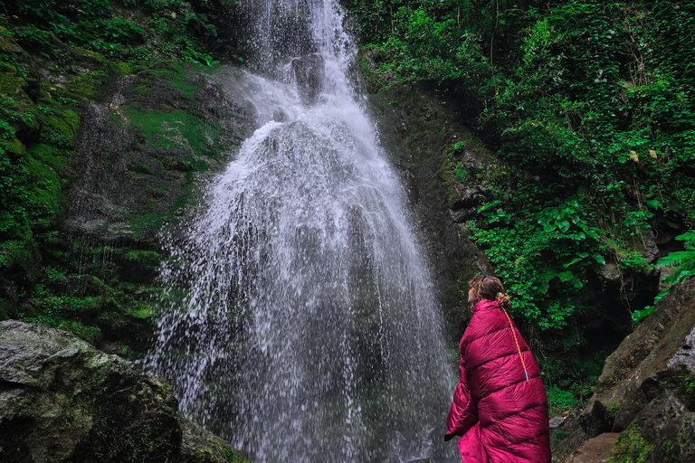 Batumi: Mtirala National Park Guided Hiking & Treetop Tour Mtirala National Park Private Tour