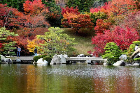 Sacred Kamakura & Yokohama Full-Day Tour with English Guide Kamakura & Yokohama Private Tour With Toyota Welfare Alphad