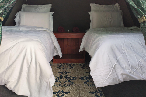 3-tägige Tlou-Zelt-Safari in Pilanesberg3-tägige Tlou-Zelt-Safari im Pilanesberg