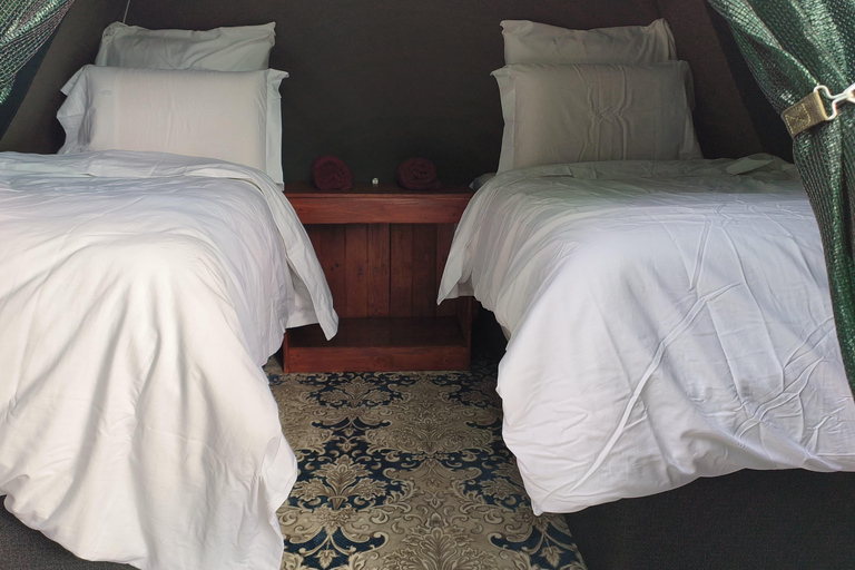 3-tägige Tlou-Zelt-Safari in Pilanesberg3-tägige Tlou-Zelt-Safari im Pilanesberg