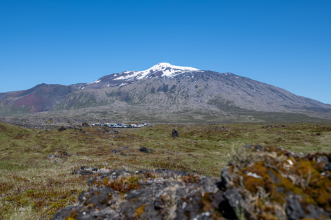 Z Grundarfjörður: Półdniowa wycieczka na półwysep Snæfellsnes