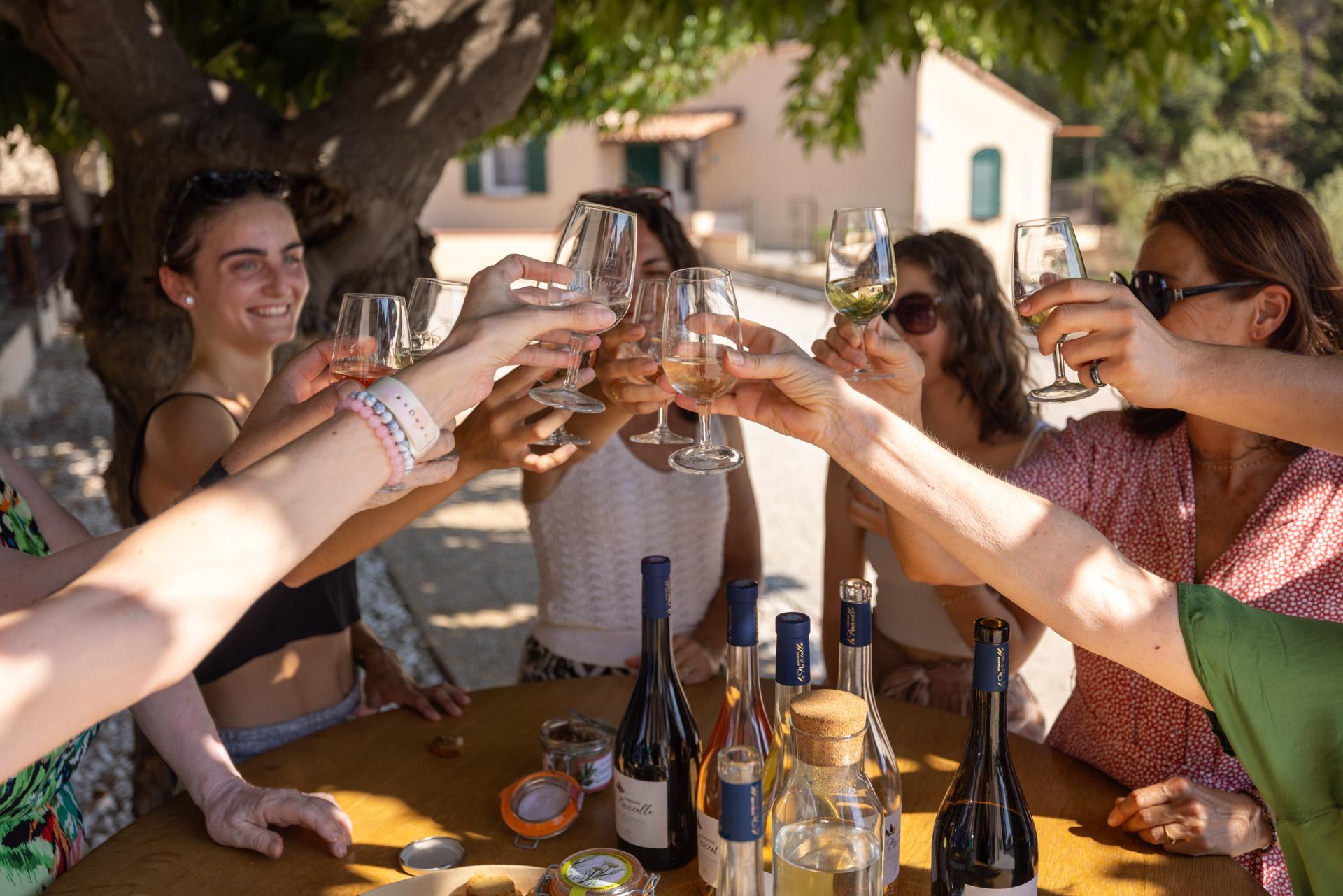 Wein-Spaß-Tour durch den Weinberg mit Verkostung – Le Pradet