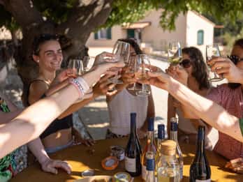 Wine tasting tour - Le Pradet