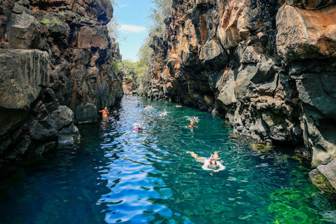 Santa Cruz : visite d&#039;une demi-journée de la baie avec plongée avec tuba et Grietas