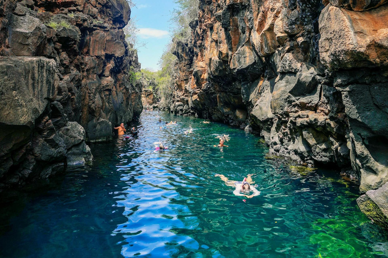 Santa Cruz : visite d&#039;une demi-journée de la baie avec plongée avec tuba et Grietas