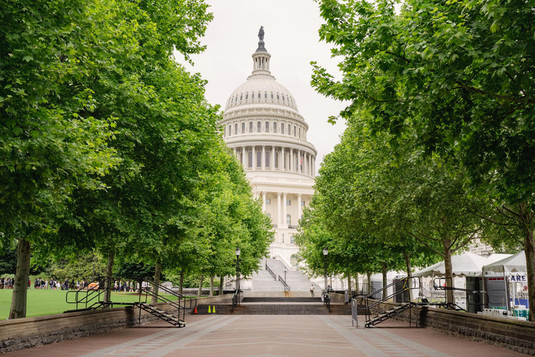 DC: Tour di Capitol Hill con Corte Suprema, Biblioteca e Campidoglio