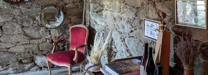 Corse : Dégustation de vins biologiques