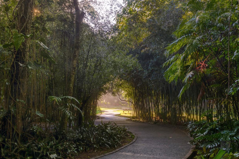 San Jose: Lankester Botanical Garden Entry Ticket