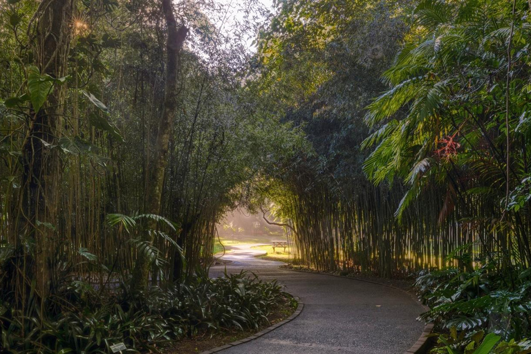 San Jose: Lankester Botanical Garden Entry Ticket