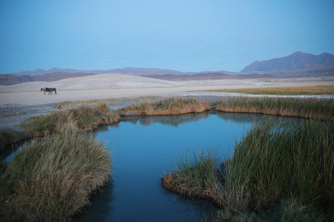 Las Vegas : Trempe dans une source d&#039;eau chaude naturelle près de la Vallée de la MortGroupe