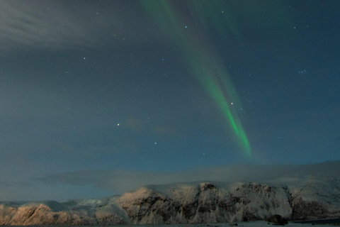 Tromsø: Northern Lights Tour with Local guide &amp; Local Food