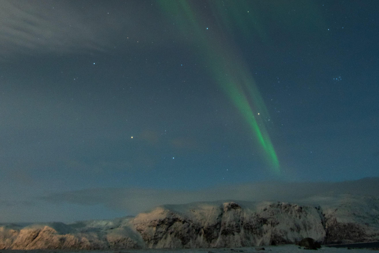 Tromsø: Northern Lights Tour with Local guide &amp; Local Food