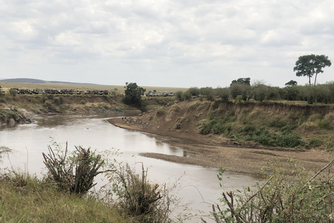 Viaggio di un giorno da Nairobi a Maasai Mara - AWNairobi: Escursione di un giorno nella Riserva Nazionale di Maasai Mara - Privato