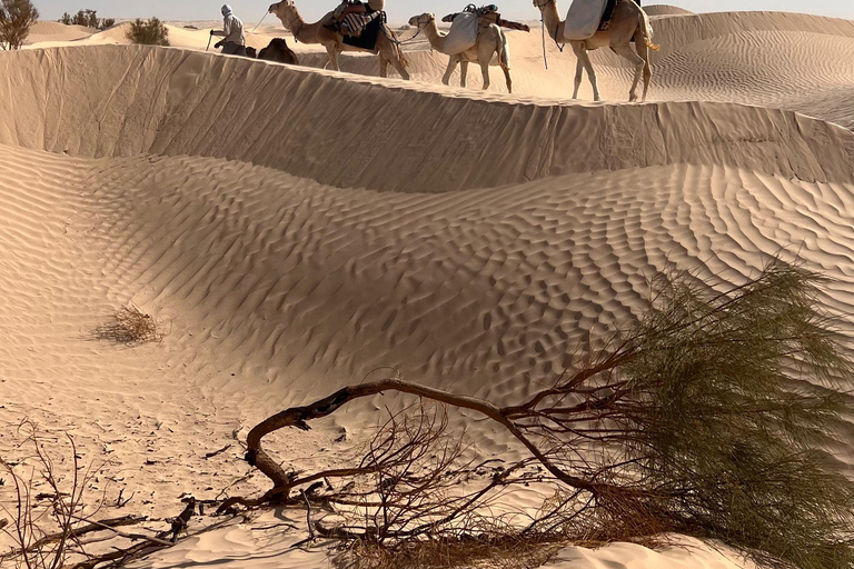 Onderdompeling in de Sahara: Avontuur met 2 nachten kamp en bivak