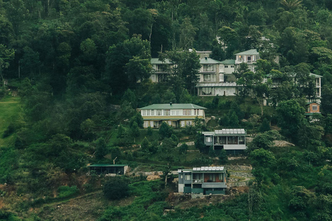 Overnachting in Munnar Hill Station Tour met schoonheid van Kerala