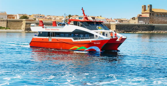 Von Alicante: Hin- und Rückfahrt zur Insel Tabarca