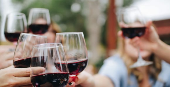 Ab Dijon: Côte de Nuits Wine-Tasting Tour