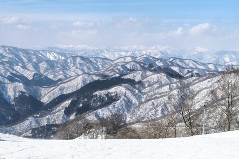 From Osaka or Kyoto: Hakodateyama & Okuibuki Ski 2-Day Trip