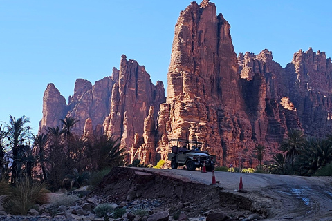 AlUla: Wadi Al Disah Day Trip with Guide