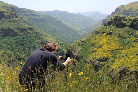 Gondar: 7-tägige Simien Mountains Wandertour