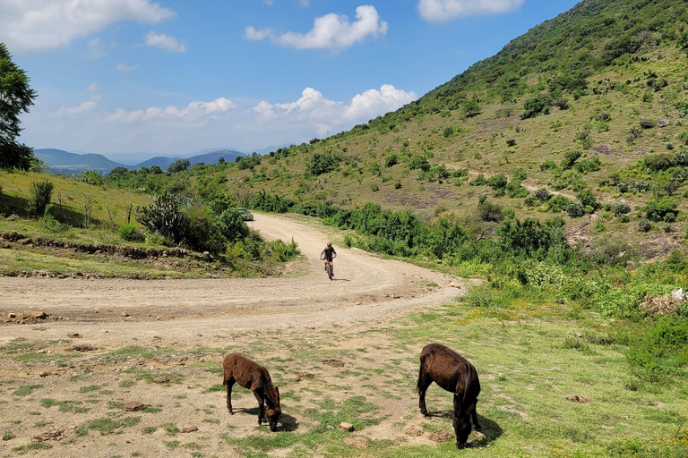 From Oaxaca: MTB Guided Ride to Teotitlan del Valle