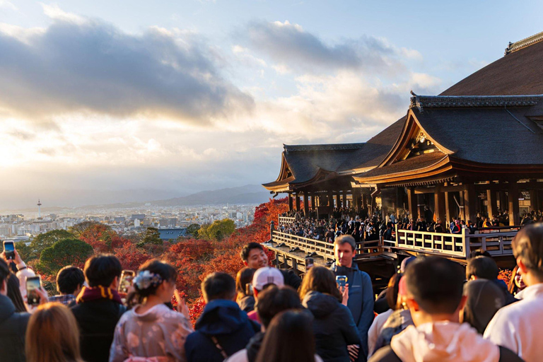 Best of Kyoto: Guided Full Day or Half-Day Tour with a Local Private: Guided Full Day Tour with a local