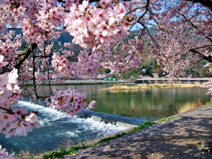 从大阪/京都出发：金阁寺、岚山、伏见稻荷、奈良