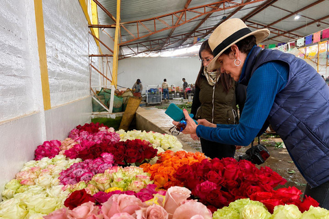 Ecuador Volcano & Rose Industry Experience from Quito