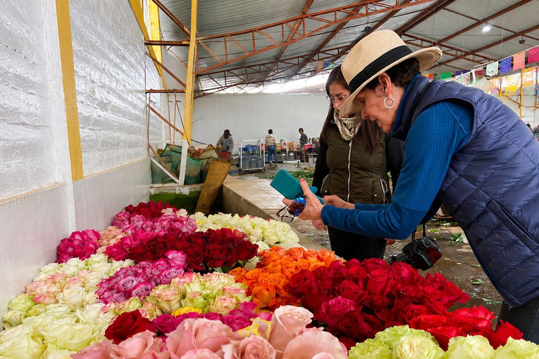 Ecuador Volcano & Rose Industry Experience from Quito
