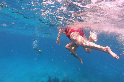 Isla Mujeres: Passeio de catamarã com snorkel, bufê e bebidasSomente entrada Sem transporte