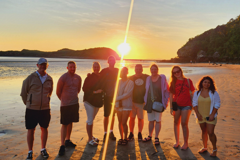 Lever de soleil avec les Kangourous et les Wallabies - Airlie Beach