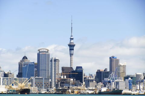 Auckland City Highlights & Sky Tower Observation Deck Tour - Image 2