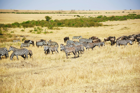 Nairobi: 5-daagse privé-safari naar Masai Mara, Lake Nakuru