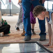 Toronto Downtown Walking Tour With Tower and Harbour Cruise