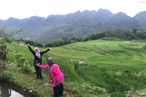 Hanoi: 3-Day Pu Luong, Ninh Binh Excursion & Guide, Homestay