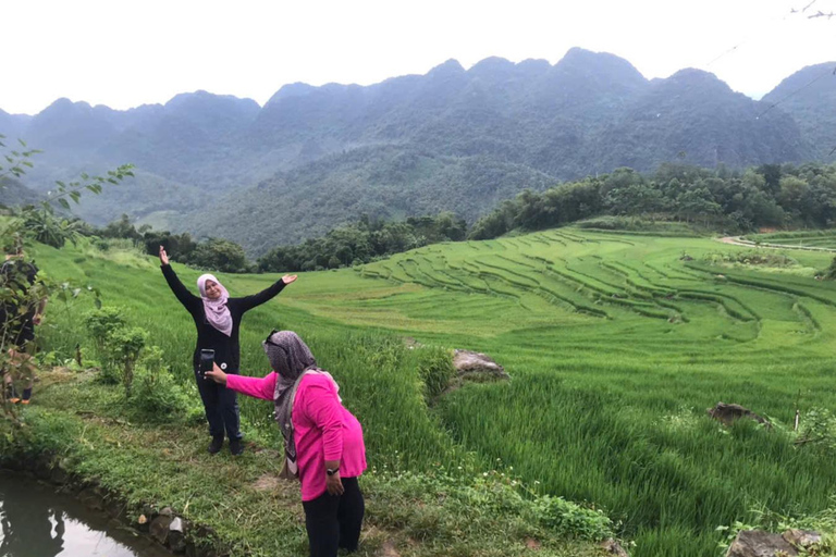 Hanoi: 3-Day Pu Luong, Ninh Binh Excursion & Guide, Homestay