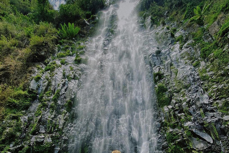 Excursion d&#039;une journée aux chutes d&#039;eau de Materuni et à la ferme de café