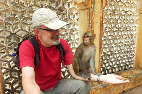 Excursión a Abhaneri y Templo de los Monos desde Jaipur